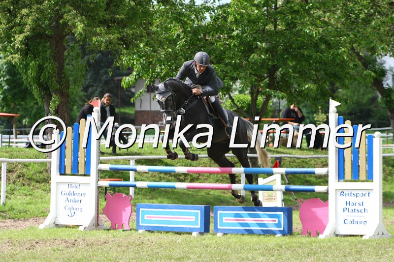 005M6440_JPs Cedric_Springpferde L.JPG